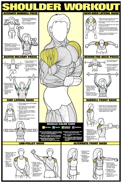 Algra Co-Ed Series Shoulder Workout Chart