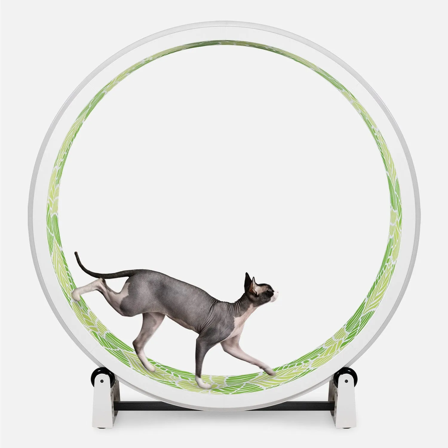 Cat Exercise Wheel