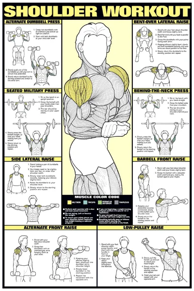 Chart Series II Shoulder Workout Poster