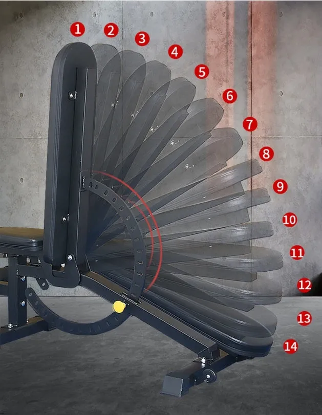 Commercial Multi-Adjustable Exercise Bench