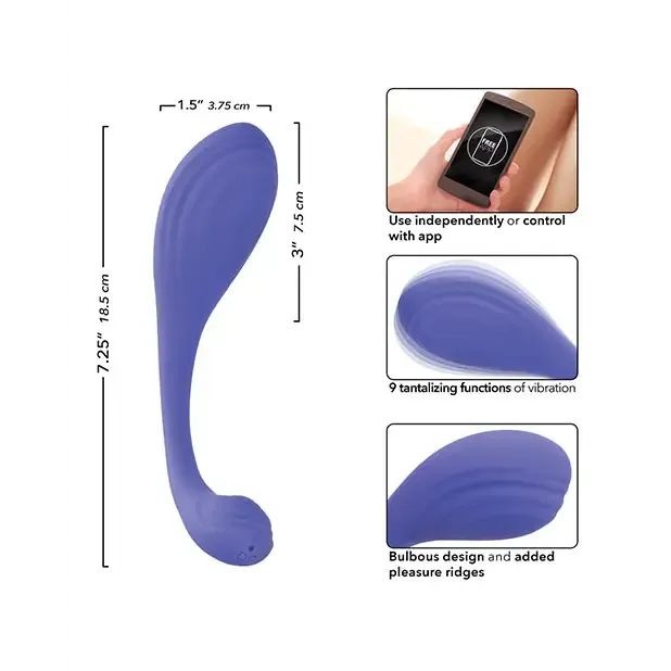 Connect App Based Kegel Exerciser