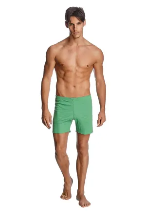 Fusion Yoga Short (Bamboo Green)