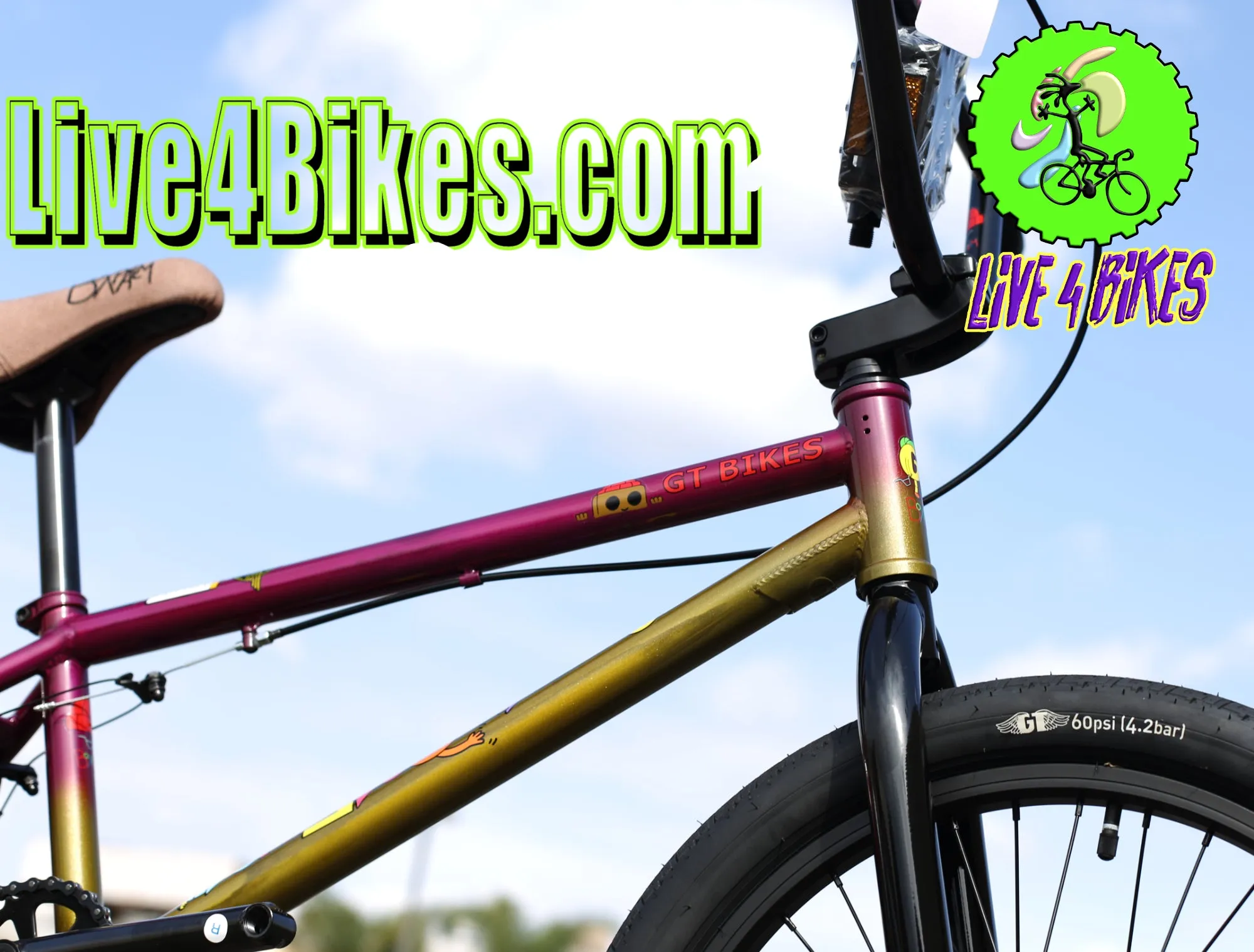 GT Performer Mercado bmx bike -Live4Bikes