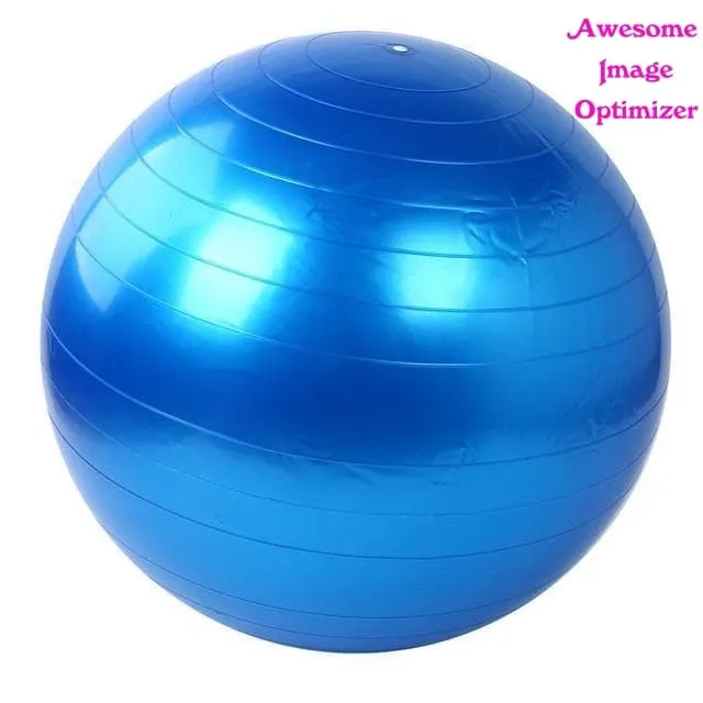 Home Exercise Workout Fitness Gym Yoga Ball