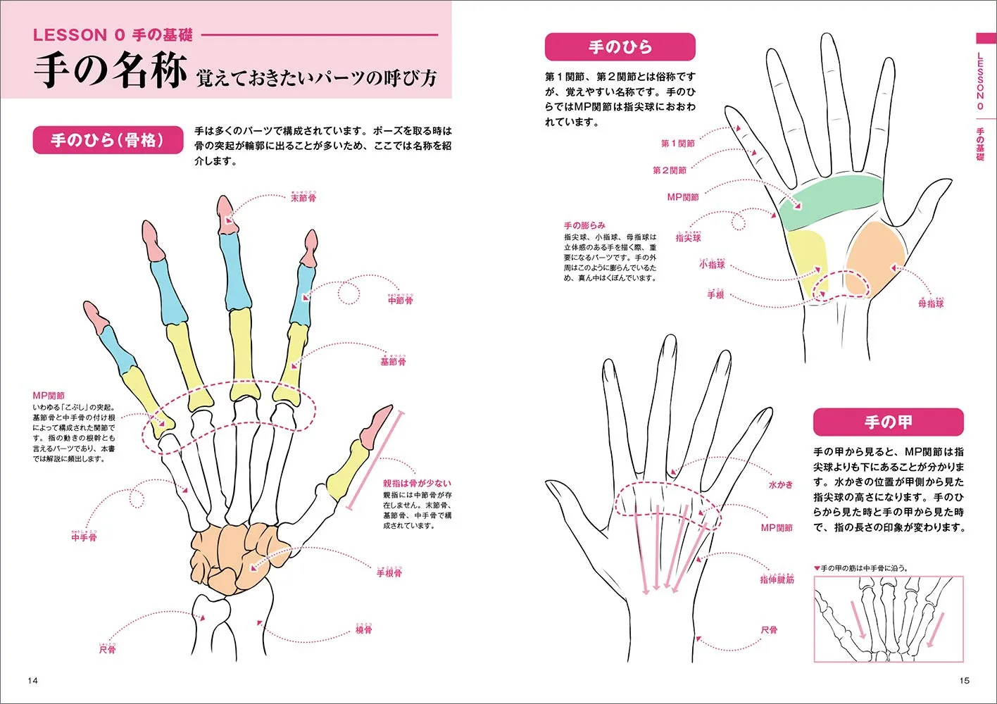 HOW TO DRAW A BEAUTIFUL HAND