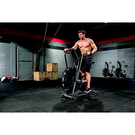 Schwinn® Airdyne® AD Pro