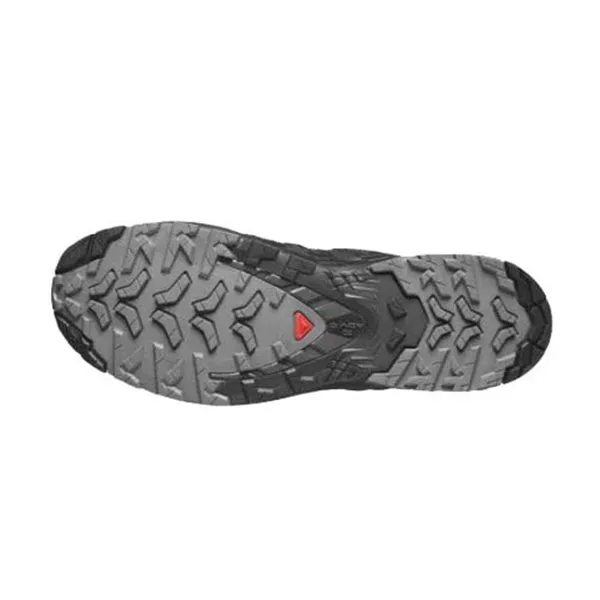 XA Pro 3D V9 GTX Mens Hiking Shoe